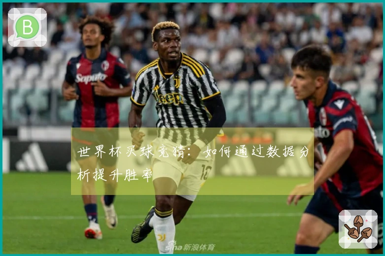 世界杯买球竞猜：如何通过数据分析提升胜率