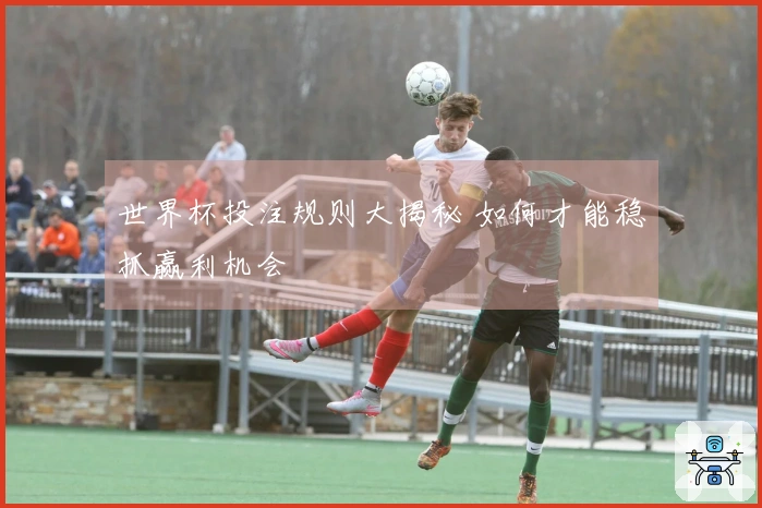 世界杯投注规则大揭秘 如何才能稳抓赢利机会