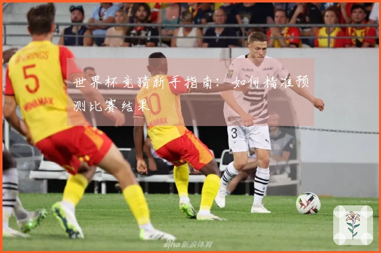 世界杯竞猜新手指南：如何精准预测比赛结果