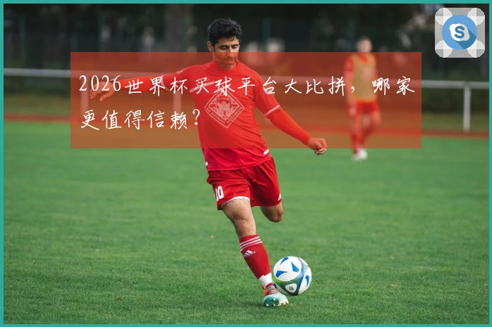2026世界杯买球平台大比拼，哪家更值得信赖？