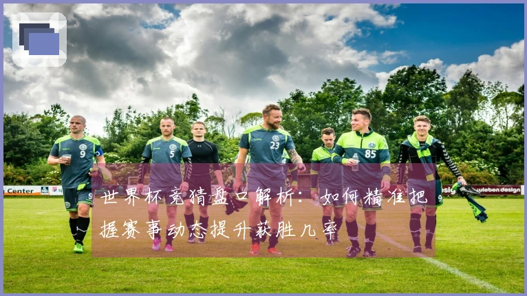 世界杯竞猜盘口解析：如何精准把握赛事动态提升获胜几率
