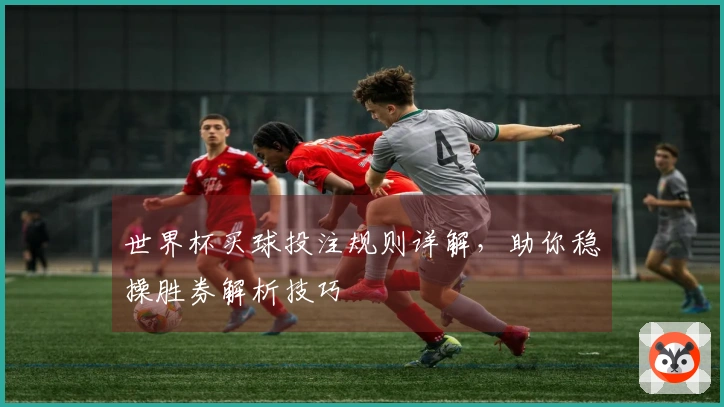 世界杯买球投注规则详解，助你稳操胜券解析技巧