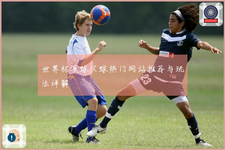 世界杯滚球买球热门网站推荐与玩法详解