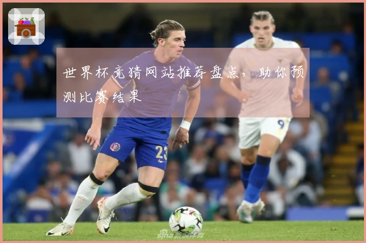 世界杯竞猜网站推荐盘点，助你预测比赛结果